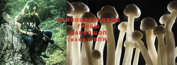 эйфоретик Бугульма