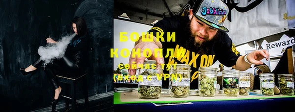 сатива Бронницы