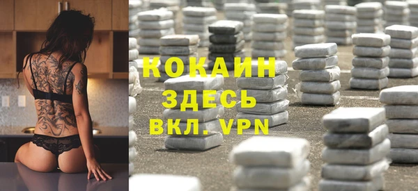 сатива Бронницы
