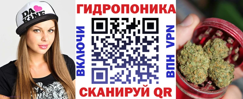 Шишки марихуана тримм  цена наркотик  Городовиковск 